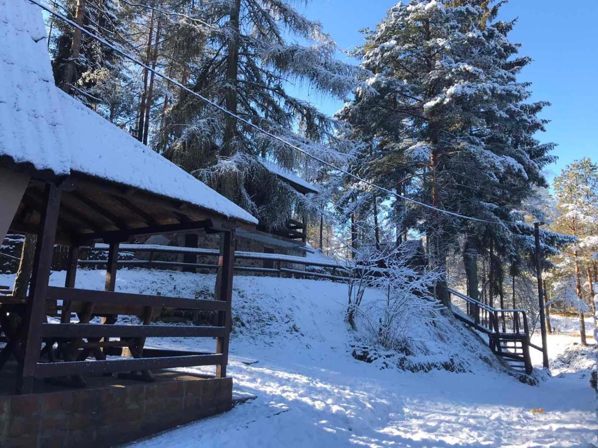 Dmk Vila Divčibare Exterior foto